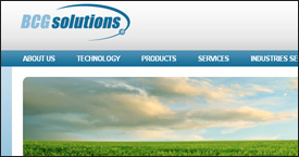 BCG Solutions