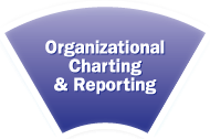 Organizational Charting Software