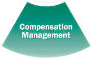 Compensation Management Software